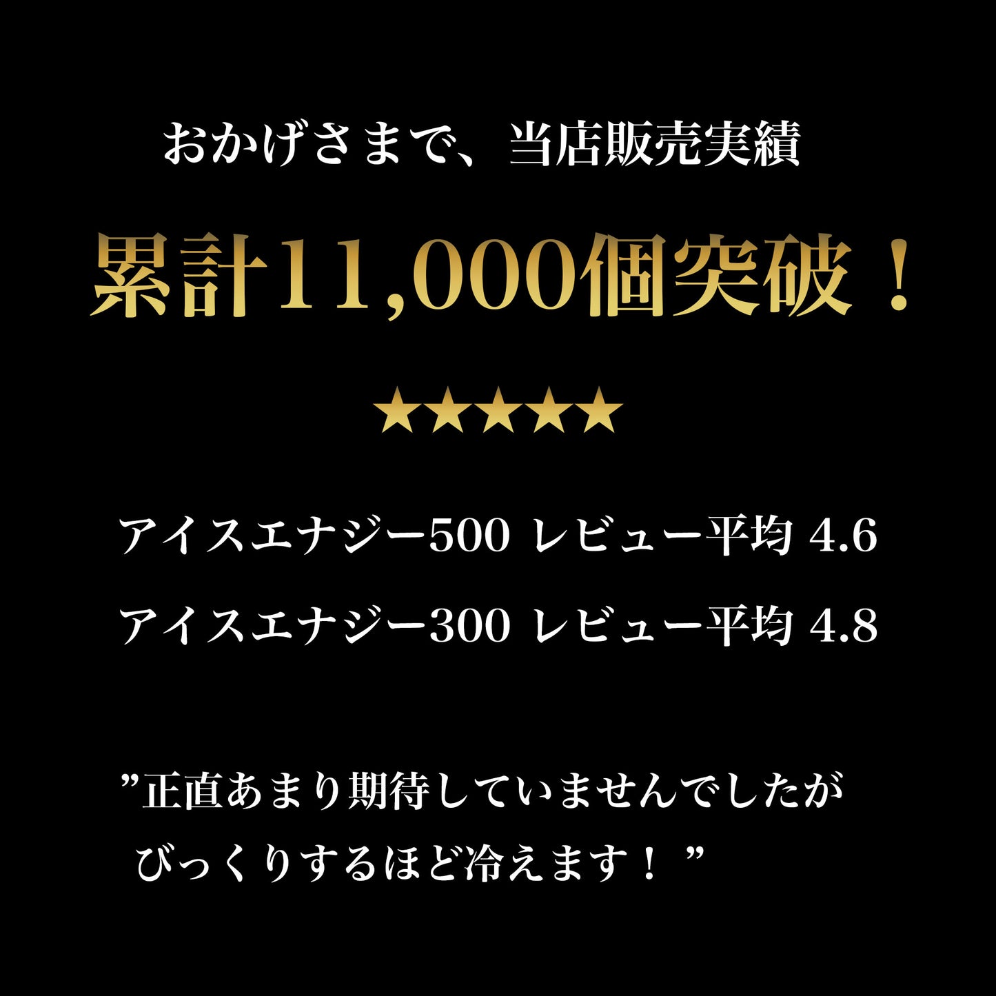 【返金保証付き】アイスエナジー 300 | -10℃ 保冷剤 日本製|複数購入割引|送料無料 - OTONA-MONO