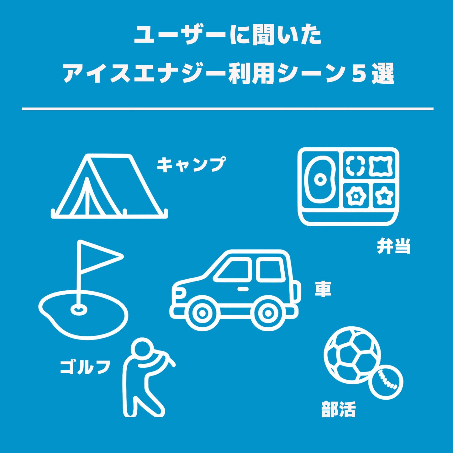 【返金保証付き】アイスエナジー 500 | -10℃ 保冷剤 日本製|複数購入割引|送料無料