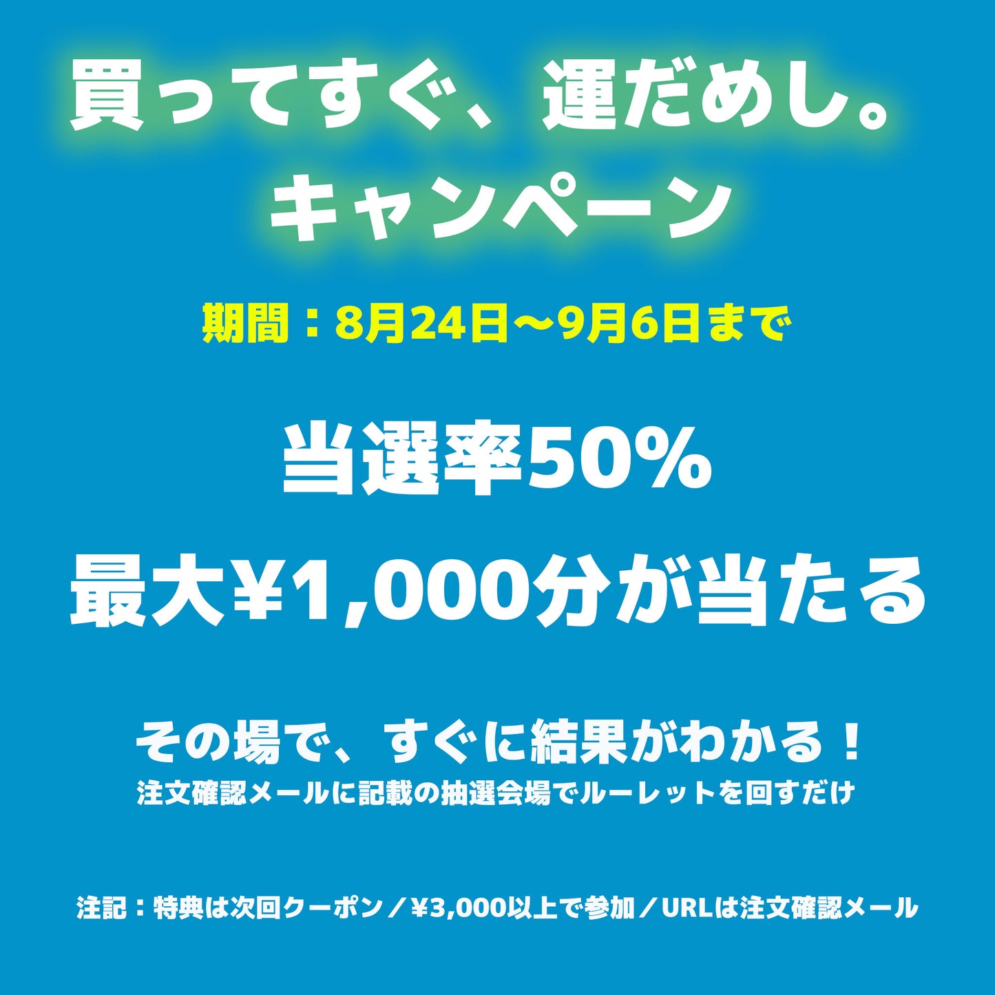 【返金保証付き】アイスエナジー 300 | -10℃ 保冷剤 日本製|複数購入割引|送料無料