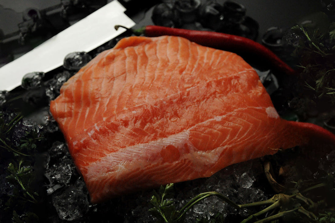 【実録・燻製作り】振り塩と昆布締めで作るスモークサーモン